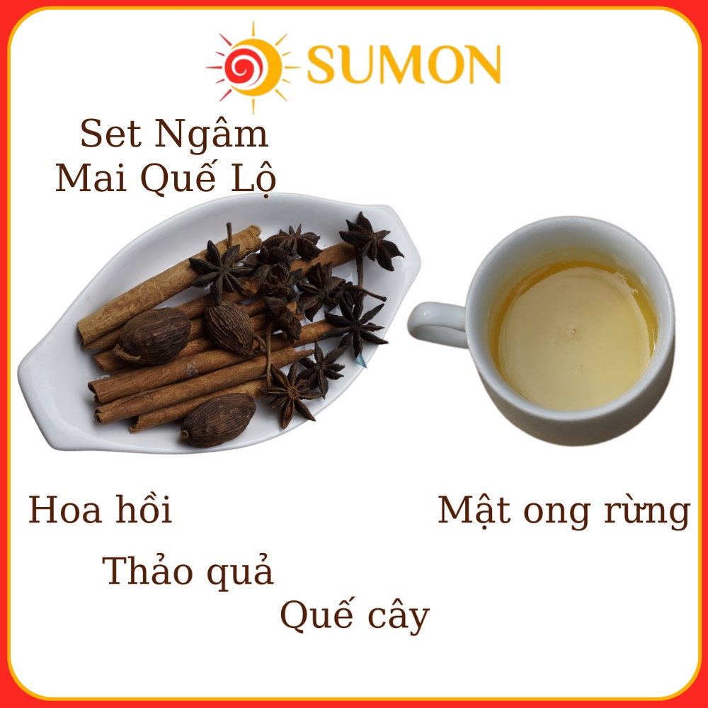 Set Nguyên Liệu Ngâm Mai Quế Lộ 1 Lít 10 Vị SUMON Set dùng cho món bánh trung thu, lạp xưởng, ướp thịt, cá... MS_58