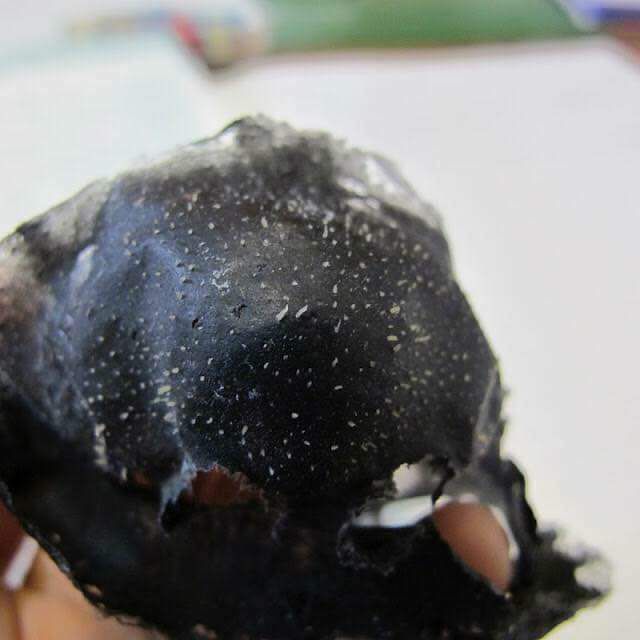 Gel Lột mụn Namo