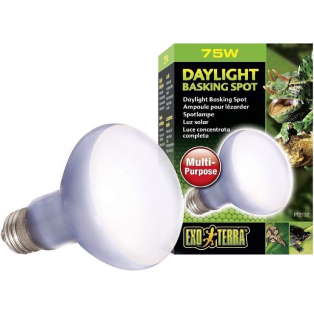 UVA DAYLIGHT - intense 75W 100W