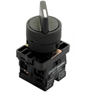 Công tắc chuyển mạch ChinT NP2-ED/EJ21, NP2-ED/EJ33, NP2-EG21, NP2-EG33, NP2-ED41, NP2-ED53