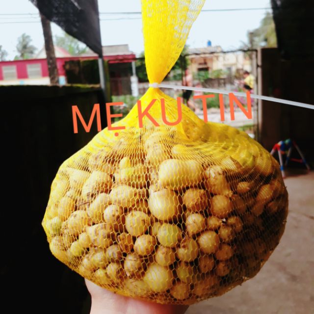 Hành tăm(hành chăm, củ nén) 1000g vụ mới 2024