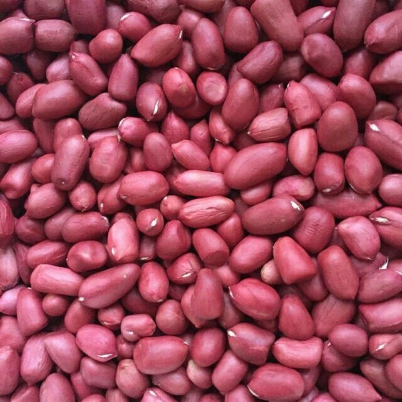 Lạc Đỏ 1Kg (Lạc Giống Cũ)