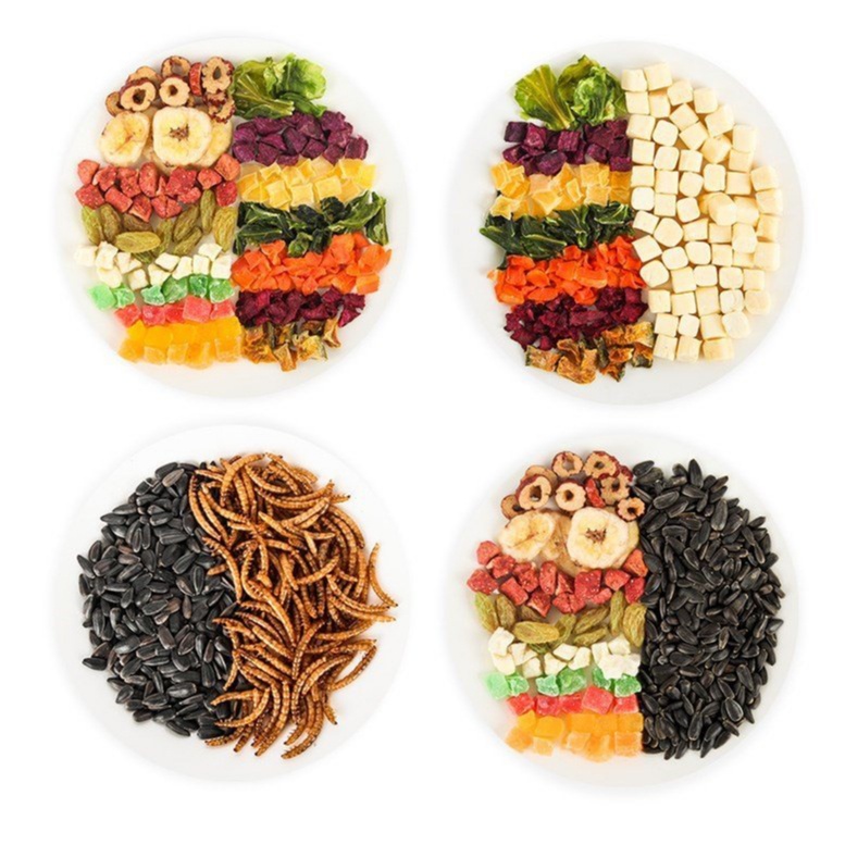 Đồ ăn thử cho các bé hamster , thỏ , bọ , sóc