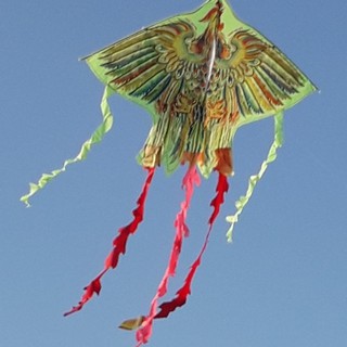 Diều phượng hoàng lửa 5 đuôi loại to đại- kèm dây