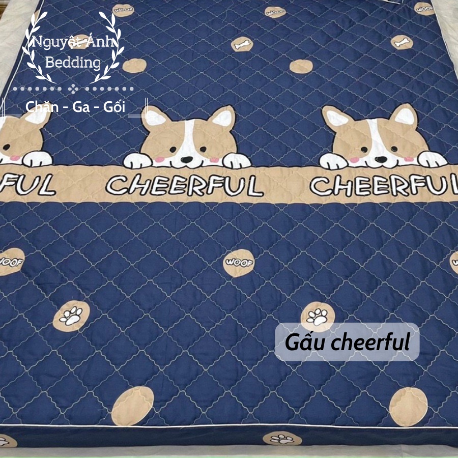 😘 Ga trần bông, drap bo chun dày dặn bọc đệm cao 15 phân mẫu Kẻ BBR