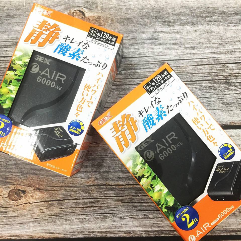 MÁY OXI GEX AIR 6000WB 2 VÒI SIÊU ÊM