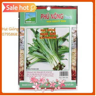 Hạt Giống Mùi Tàu/ Ngò Gai (Eryngium Foetidum) Phú Nông 5gram