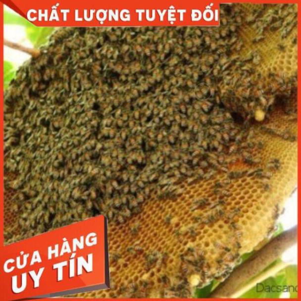 1 lít mật ong rừng ( ong ăn hoa ) cam kết ko đóng đường bao test cả 5 cách