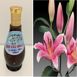 TINH DẦU HOA LY 100 ML