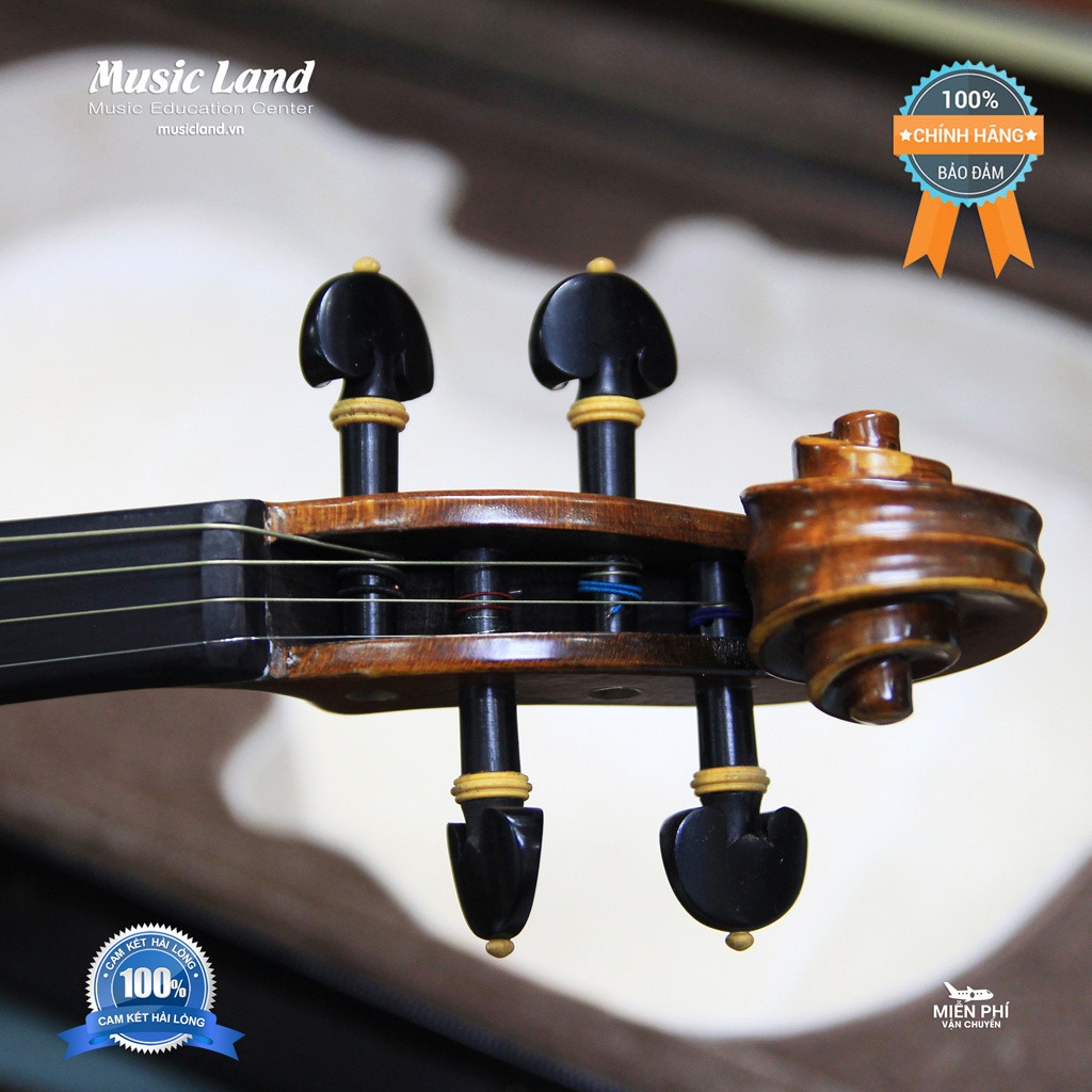 Đàn Violin Amati VF300 – Chính Hãng