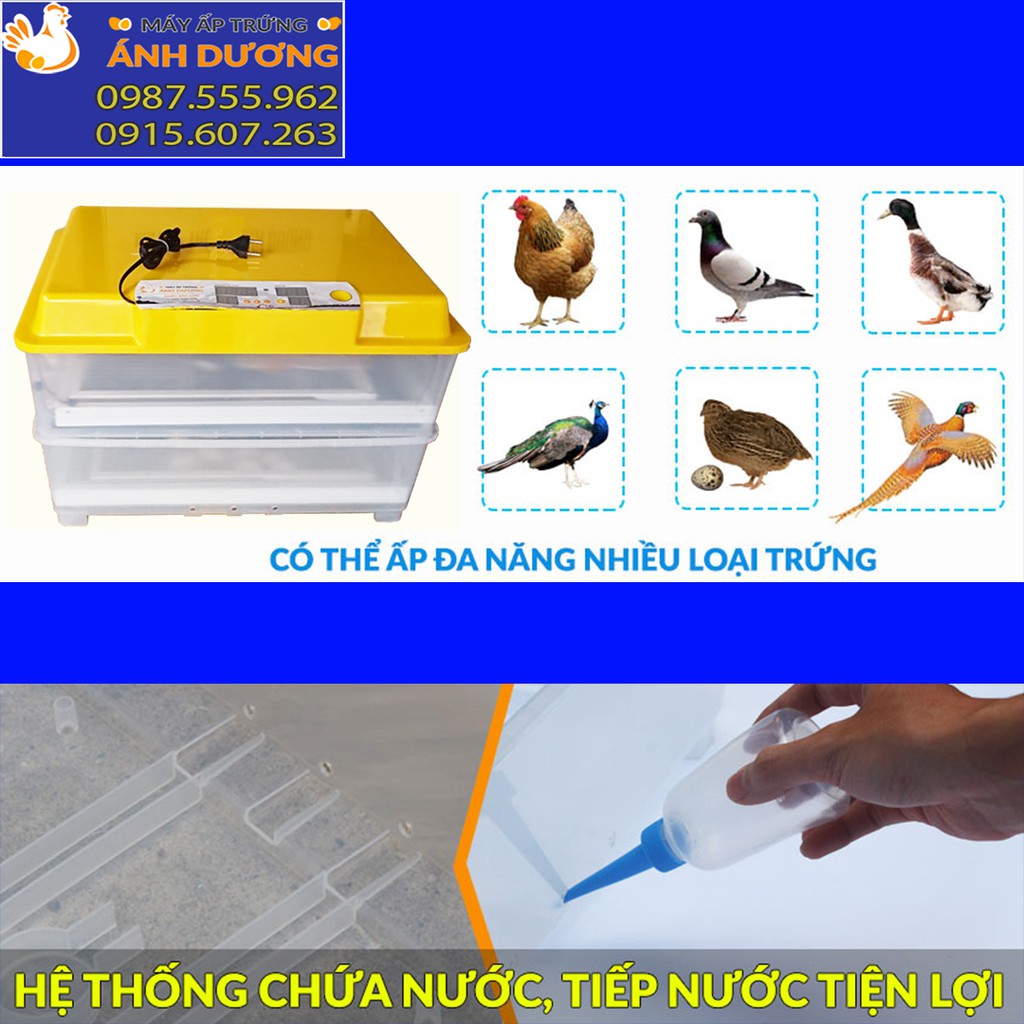 [Giá Rẻ Nhất] - Máy ấp trứng mini Ánh Dương A100 thùng nhựa - Ấp tự động 50 trứng - 1 tầng khay đảo nhôm