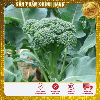 Hạt Giống Súp Lơ Mini LUCKYSEEDS