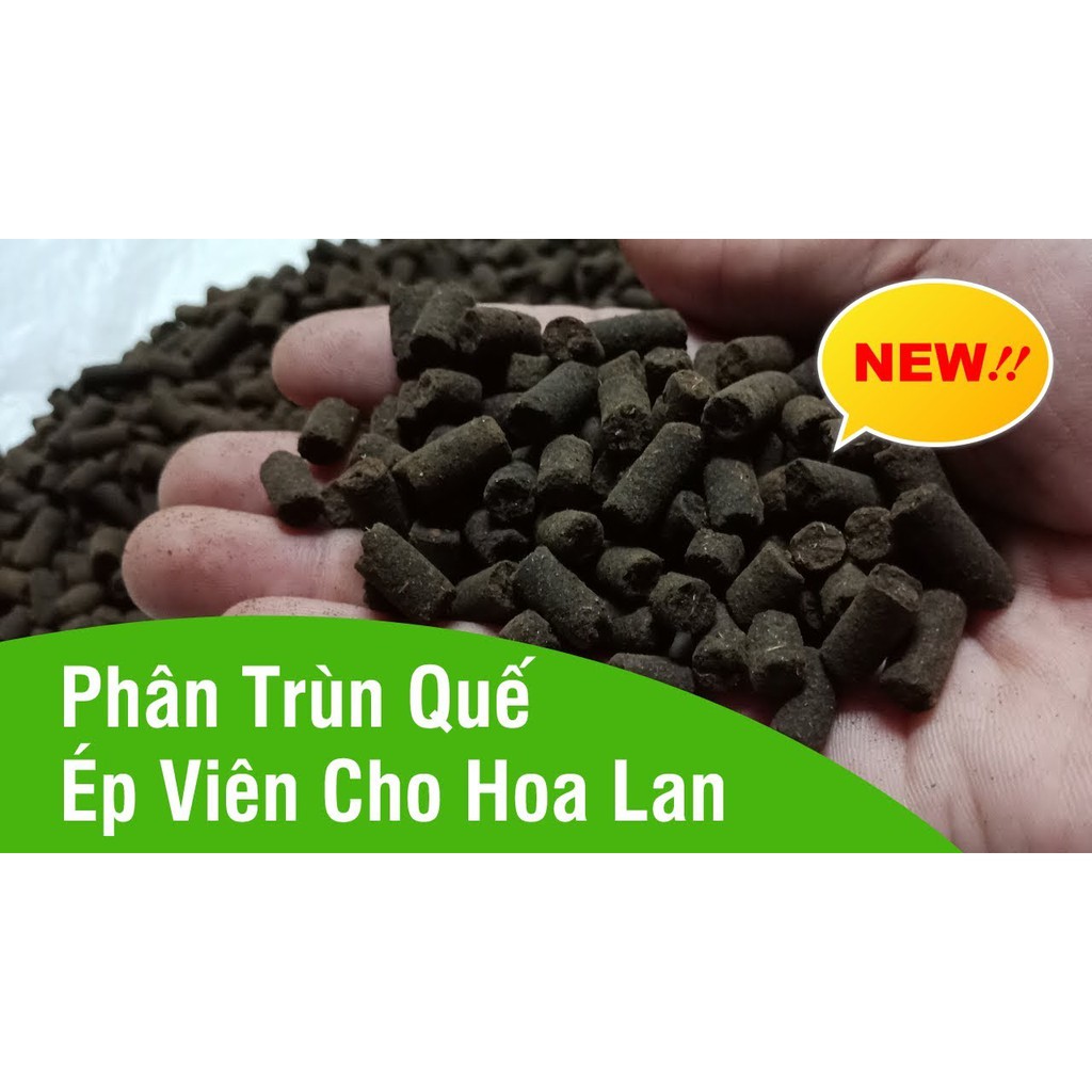 PHÂN TRÙNG QUẾ VIÊN NÉN ĐÃ QUA XỬ LÝ - 1KG