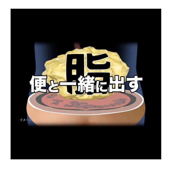 VIÊN UỐNG GIẢM MỠ BỤNG KOBAYASHI NISITOL Z