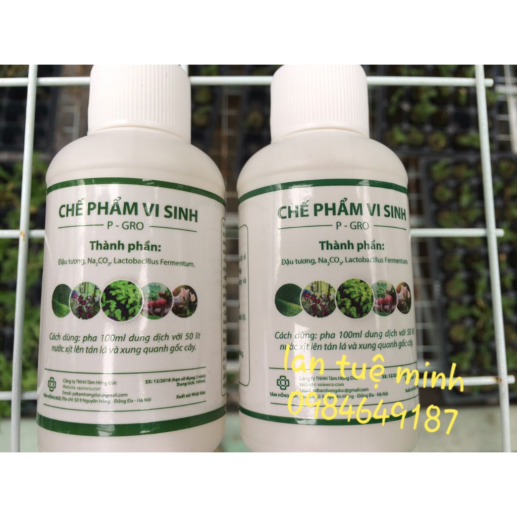 [FREESHIP TỪ 50K] Chế phẩm vi sinh( được làm từ đậu tương)