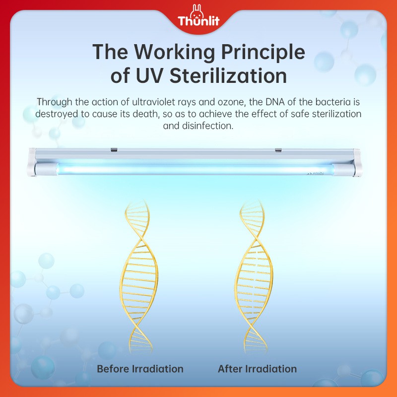 Đèn UV Thunlit khử trùng 40cm 220v 11w