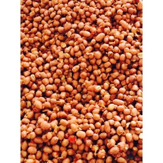 ĐẬU PHỘNG RANG TỎI ỚT siêu ngon