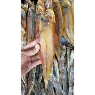 500GRAM KHÔ CÁ LƯỠI TRÂU LOẠI TRUNG