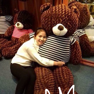 Gấu bông Teddy khổ 1m2 siêu đẹp