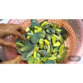 500gr củ nghệ đen tươi Đak Lak đào mới khi đặt