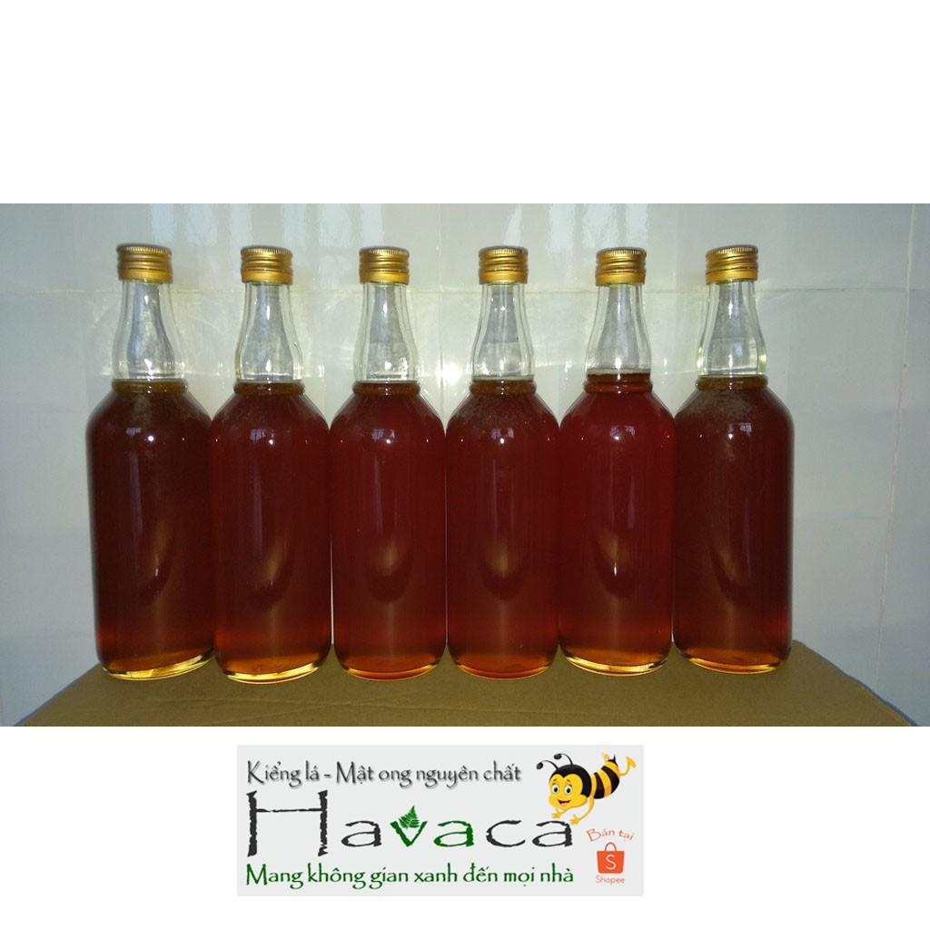 [Nhập mã HAVAMO giảm 35%] Combo 3 lít mật ong nhãn nguyên chất loại I (chai thủy tinh 500ml)