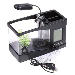 Bể cá mini để bàn làm việc full 7 món cao cấp