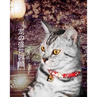 Vòng Cổ Có Chuông Cho Thú Cưng