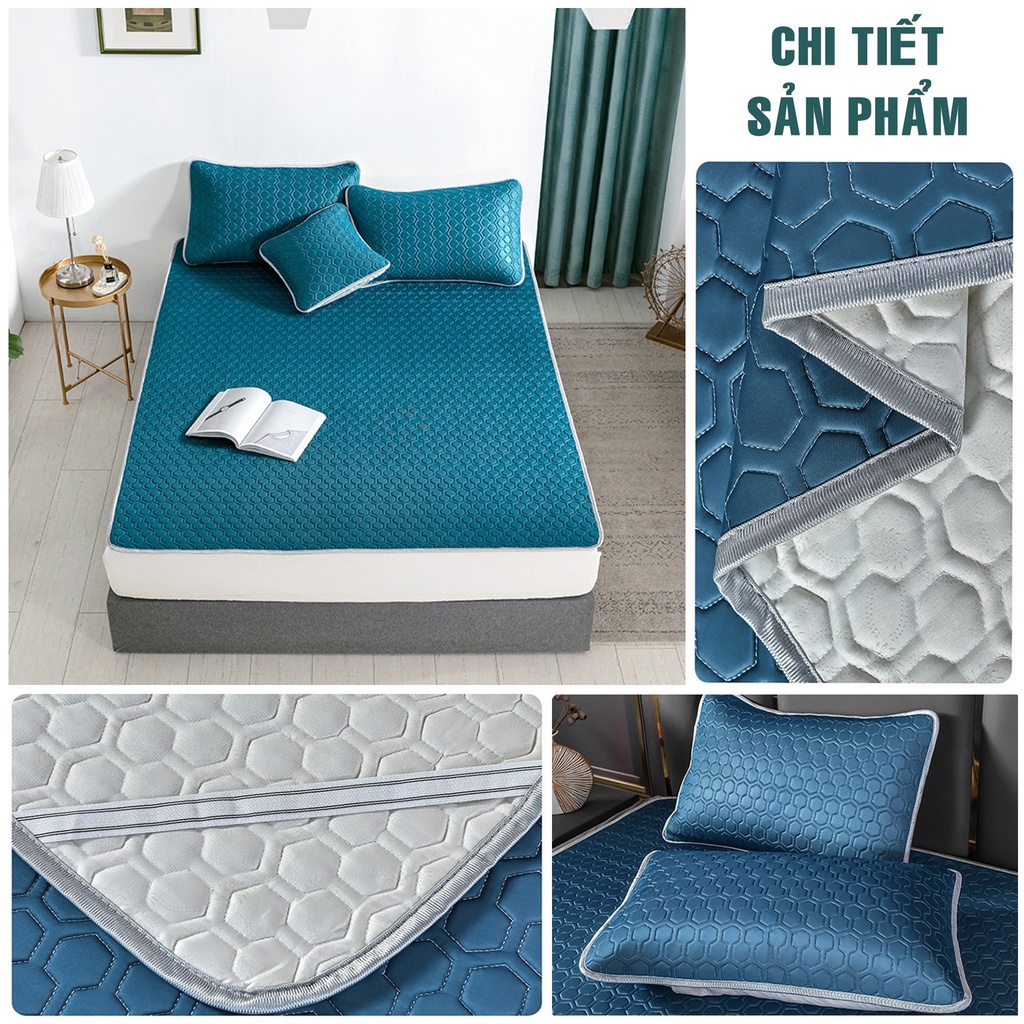 Chiếu điều hòa cao su non, Chiếu tencel latex thái lan nhập khẩu cao cấp kích thước 1m6, 1m8, 2m2