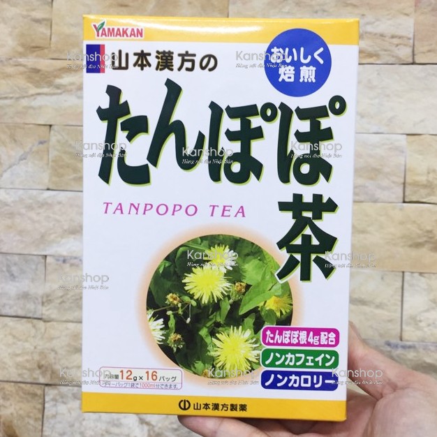 Trà bồ công anh Tanpopo Tea Yamamoto Nhật Bản