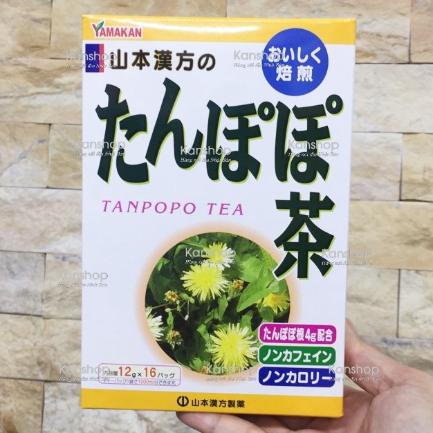 Trà bồ công anh Tanpopo Tea Yamamoto Nhật Bản | Kan.japan | 4979654023665