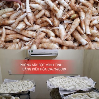 BỘT MÌNH TINH (BỘT BÌNH TINH)