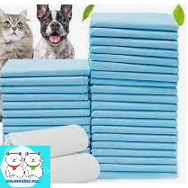Bịch tã lót cho chó mèo đi vệ sinh, tả lót chuồng bằng giấy siêu thấm hút 2 size 33x45 45x60