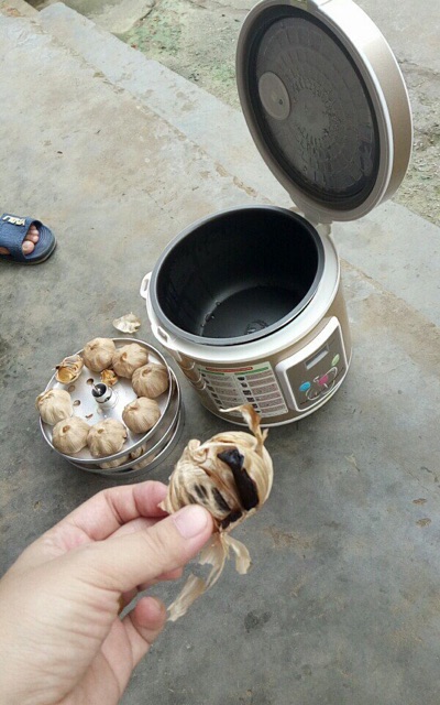 Nồi làm tỏi đen | BigBuy360 - bigbuy360.vn