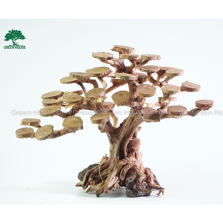 Lũa Bonsai, Lũa thủy sinh dùng trang trí hồ cá cảnh, hồ thủy sinh, văn phòng, nhà cửa