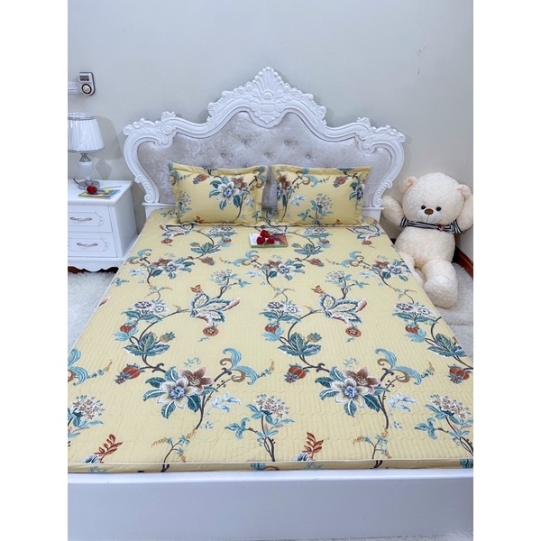 Bộ ga gối bo chun cotton 100% thoáng mát , thấm hút mồ hôi tốt hàng loại 1 dày dặn