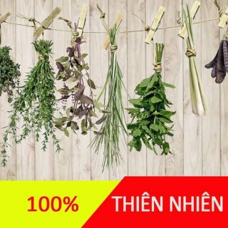 Dầu gội Trần Kim Huyền