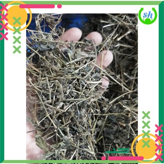 Giảo cổ lam rừng 1.5kg