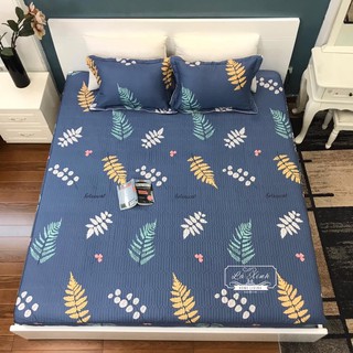 Sét ga gối chun trần cotton 100% lá me