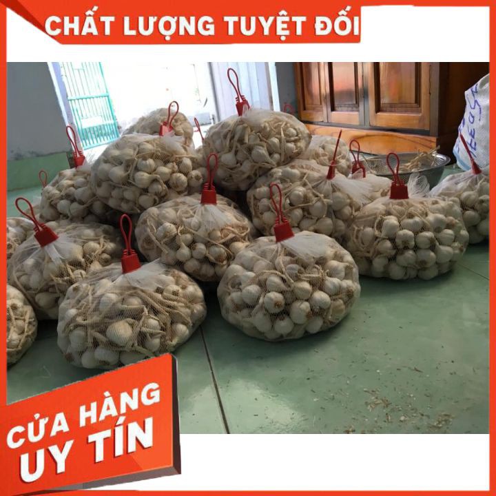 Combo 1kg hành + 1kg tỏi lý sơn chỉ 110k | BigBuy360 - bigbuy360.vn