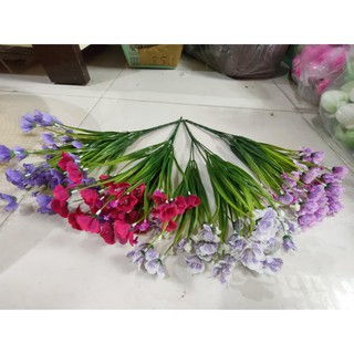 cỏ điểm cành cánh bướm