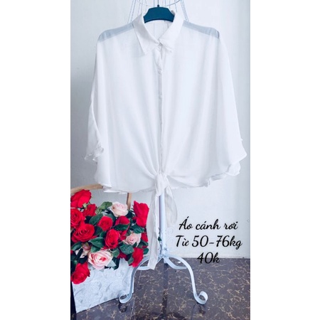 Áo sơ mi vin- von kiểu