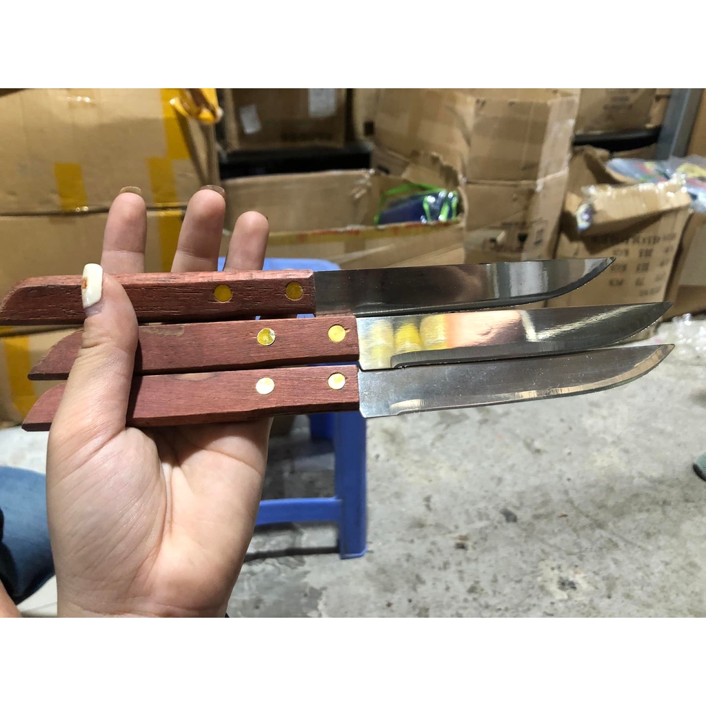 DAO GỌT HOA QUẢ KIWI CÁN GỖ CẦM TAY TIỆN DỤNG