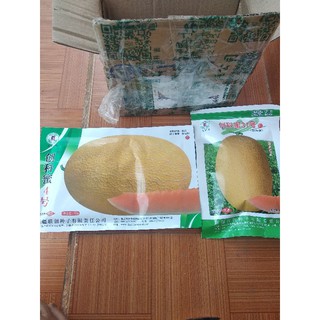 hạt giống dưa lưới hami no4