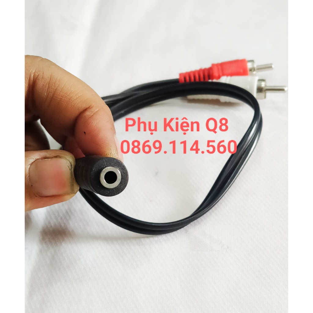 Dây chuyển từ lỗ 3.5 ly sang 2 đầu bông sen đực