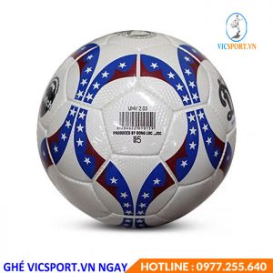 (Tặng kèm lưới+kim bơm) Quả bóng đá Động Lực, Bóng Số 5 bền bỉ, chất lượng cao, chính hãng - Vicsportvn