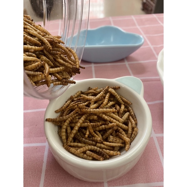 Sâu trung ăn dặm cho hamster