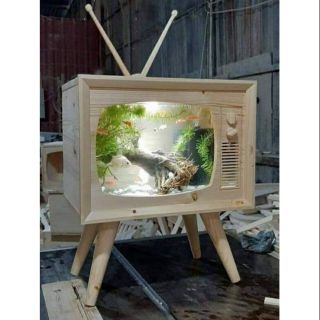 Hồ cá kiểu TIVIXUA