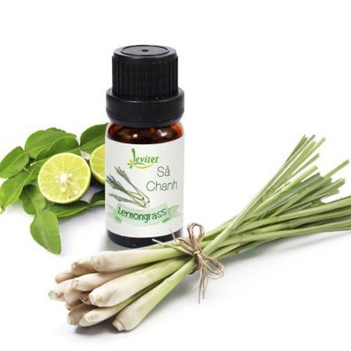 Tinh dầu sả chanh💖FREESHIP💖 Tinh dầu 10ml từ thiên nhiên khử mùi, diệt khuẩn, Tinh dầu xua đuổi côn trùng