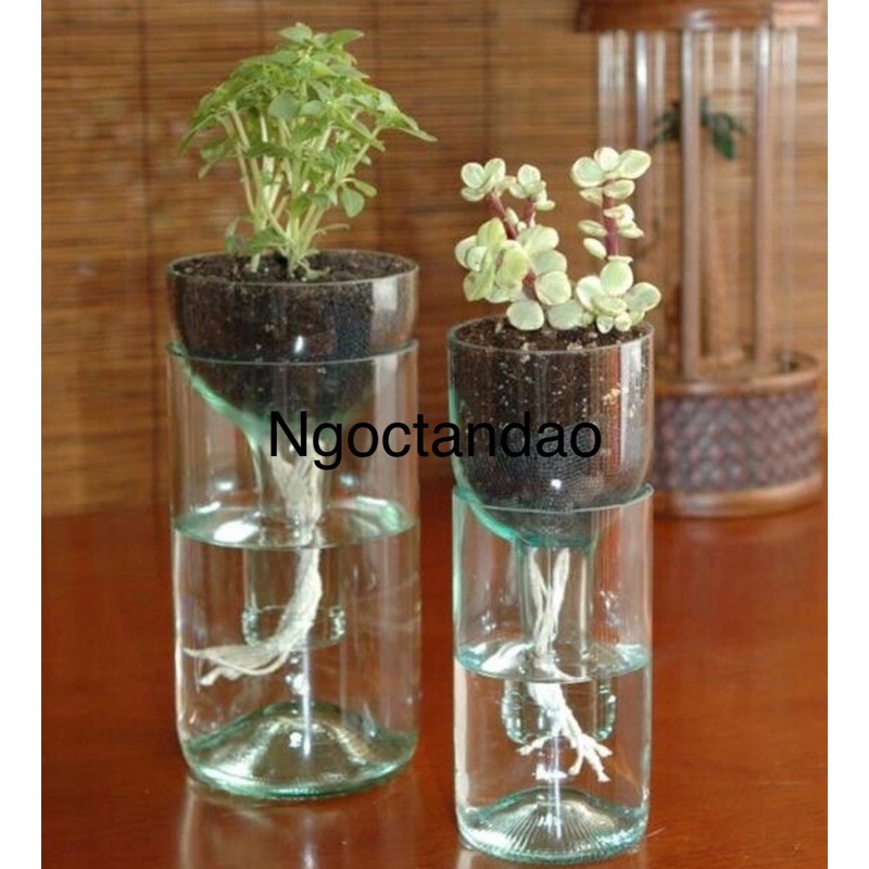 Chai thuỷ tinh tái chế thân thiện môi trường