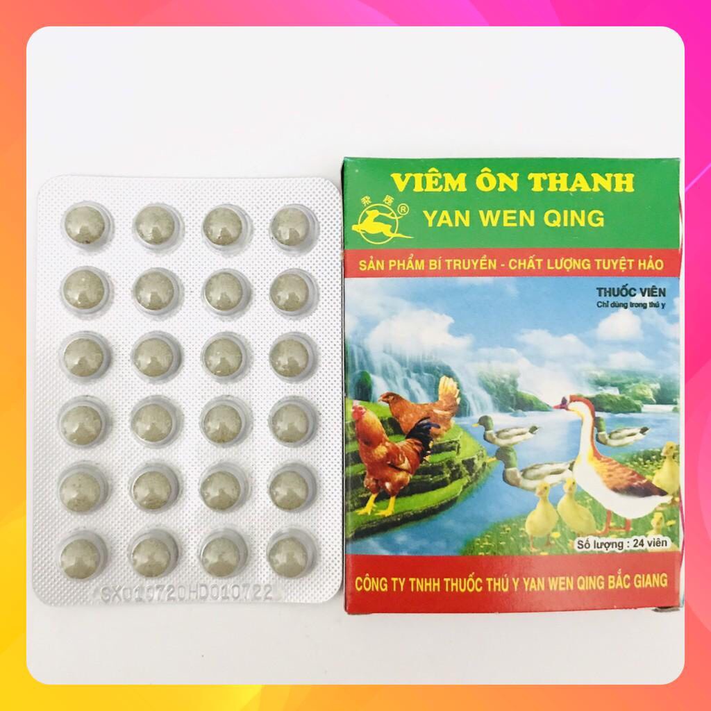 Viêm ôn thanh vỉ 24 viên dùng cho gà đá, chim cảnh